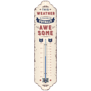 Termometer Awsome Weather