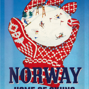 Skilt 20x30 Norway