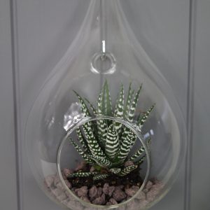 Dråpeoppheng i klart glass