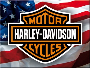 Magnet Harley-Davidson American flag