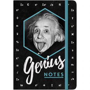 Bok «Genius notes»