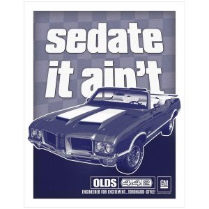 Skilt 30x40 Olds 442 Sedated