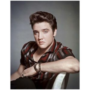 Skilt 30x40 Elvis portrait