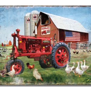 Skilt 30x40 Farmall Big Red