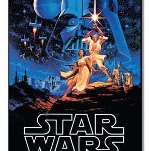 Skilt 30x40 Star Wars A New Hope